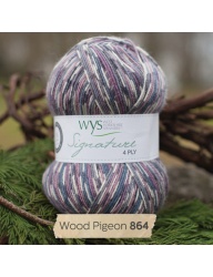 Wood Pigeon 864